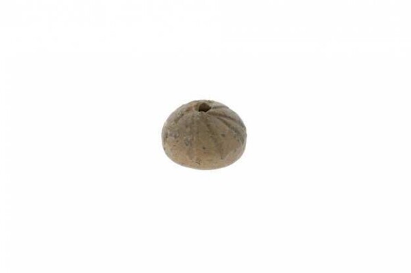 spindle whorl