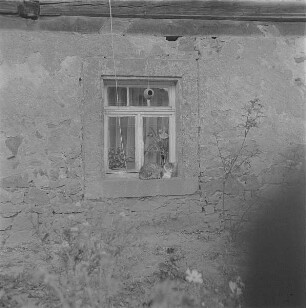 Höfgen. Akt-Pleinair 1979. Fenster eines Wohnhauses mit Katze