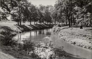 Landschaft im Spreewald : Błótowska krajina