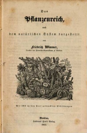 Das Pflanzenreich, nach dem natürlichen System dargestellt : Mit 383 in den Text gedruckten Abbildungen