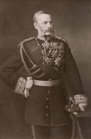 Graf Alfred von Fabrice, Staatsmann