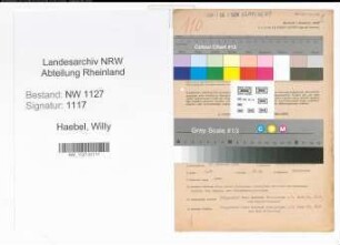 Entnazifizierung Willy Haebel , geb. 27.02.1898 (Kaufmaennischer Angestellter)