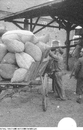 Guttau-Brösa, Ernte, 1947