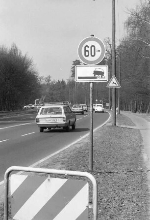 Einführung der Höchstgeschwindigkeit 60 km/h auf dem Adenauerring