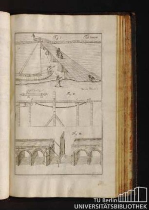 Tab. XXXVII.