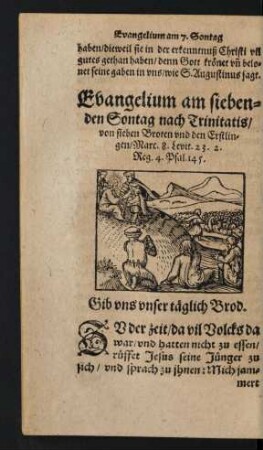 Evangelium am siebenden Sontag nach Trinitatis/ von sieben Broten und den Erstlingen
