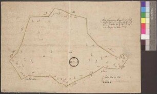 Kirchberg an der Jagst "Der Hagen im Kirgberger Forst ligent". Grundriss mit Einteilung zur Vermessung und Entfernungsangaben
