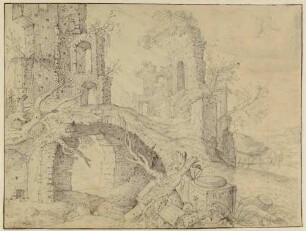 Überwucherte Ruine
