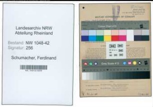 Entnazifizierung Ferdinand Schumacher , geb. 04.06.1911 (Angestellter)