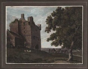 'Castle of Morpeth - Luigi Martens fecit' aquarellierte Radierung