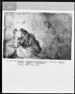 Die niederländische Reise (Das Skizzenbuch mit Silberstiftzeichnungen) — Liegender Hund; rechts davon Köpfe eines Hundes und eines Löwen in Umrissen
