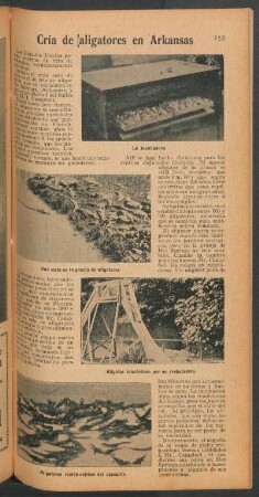 Cría de aligatores en Arkansas