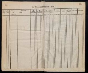 Schema zum Einnahme-Buch.