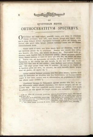 De Quibusdam Novis Orthoceratiium Specibus. / Description De Quelques Espèces D'Orthocératites.