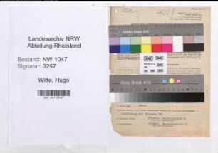 Entnazifizierung Hugo Witte , geb. 25.01.1903 (Beamter)