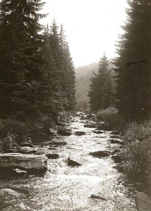 Erzgebirge. Tal der Schwarzen Pockau (auch Schwarzwassertal genannt), Wasserschwelle oberhalb des Nonnenfelsen