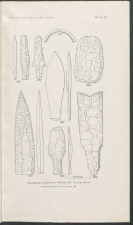 Plate 12. - Spearheads, sacrificial knives, etc. Fayum, Egypt.