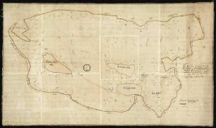 Leofels (Kr. Crailsheim) "Eigentliche Figur oder Grundriß ... als Dörrholtz oder Haltenberg, Höfflein und Bühl" [Forstkarte] Beschreibung: Grenze mit Wasserfarbe; Waldstück zur Vermessung in Drei- und Vierecke eingeteilt