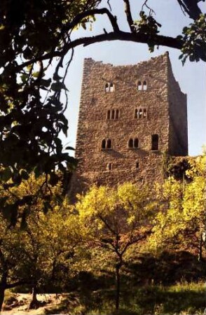 Oberkirch: Schauenburg: 11. Jahrhundert; die Herzöge von Zähringen; Turm