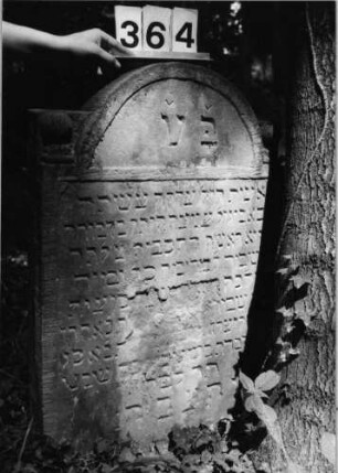 Grabstein 364 (Index: 99803575) Material: Sandstein Zustand: partiell abgeblättert/Textverlust Maße HxBxT: 92x57x11 cm Beschreibung: Stele mit eingezogenem Rundbogen/Seitenakroterien/profilierter Rand Symbolik: Seitenakroterien: Grabstein 364