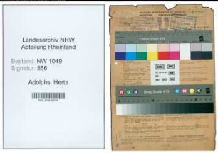 Entnazifizierung Herta Adolphs , geb. 07.09.1900 (Lehrerin)