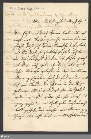 Nr. 24. Brief von Ehrlich, Emilie und Gustav an Schubert, Maschinka