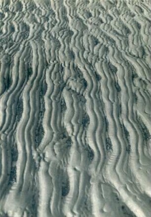 Strukturen im Sandboden, Watt