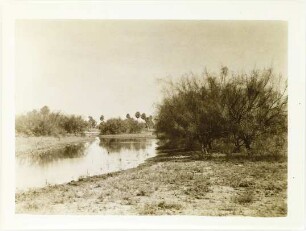 Flusslandschaft in der Ebene