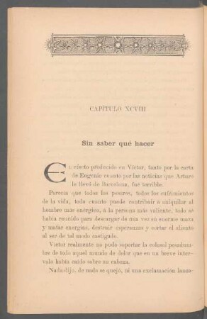 Capítulo XCVIII - Sin saber qué hacer