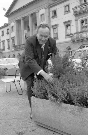 Herbstliche Ausschmückung der Karlsruher Innenstadt durch Erika.