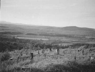 Toyohara-Ebene (Ebene bei Juschno-Sachalinsk) : Landschaft mit verkohltem Wald