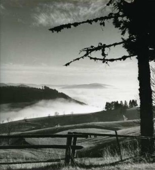 Landschaft im Schwarzwald