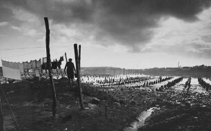 Archivfotografie "ausland_frankreich_landschaft_7333"