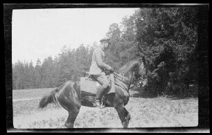 Offizier auf einem Pferd am Waldrand (Seitansicht)