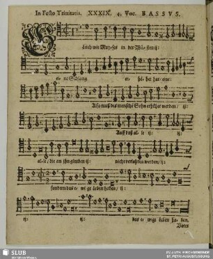 XXXIX. Gleichwie Moses