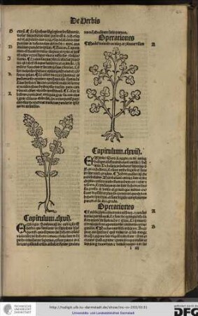 Capitulum clxvii.