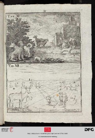 Tab. XI-XII Perspectiv der Thiere [(Perspektivische Konstruktion)]