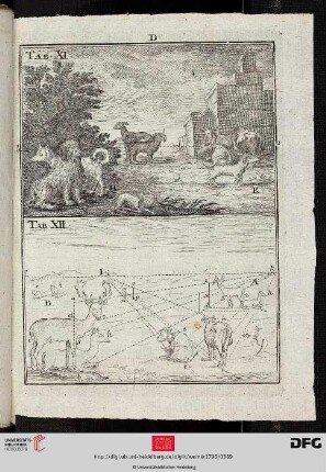 Tab. XI-XII Perspectiv der Thiere [(Perspektivische Konstruktion)]