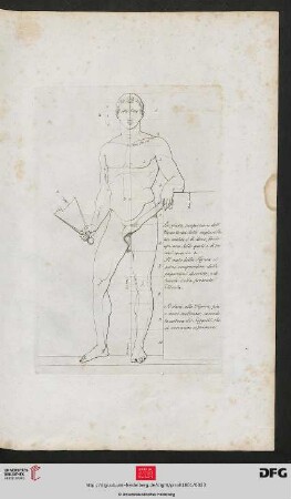 [Taf. 22] [männl. Körper (Proportion)]