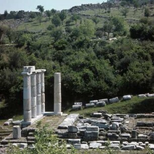 Samothrake, Heiligtum Hieron, Das Hieron von Westen. Davor die Halle der Votivgaben