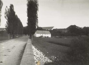 Pappelallee am Ortsrand mit Gehöft