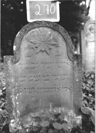 Grabstein 270 (Index: 99894633) Material: Sandstein Zustand: gut Maße HxBxT: 93x60x9 cm Beschreibung: Stele mit eingezogenem Rundbogenabschluss Symbolik: Blüte: Grabstein 270