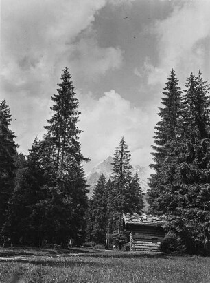 Hütte am Wald : Eine Holzhütte im Wald. Im Hintergrund Gebirge