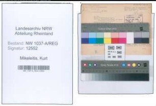 Entnazifizierung Kurt Mikeleitis , geb. 24.03.1894 ()