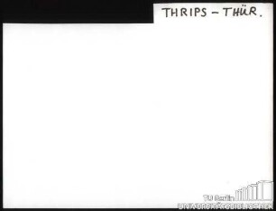 THRIPS-THÜR.