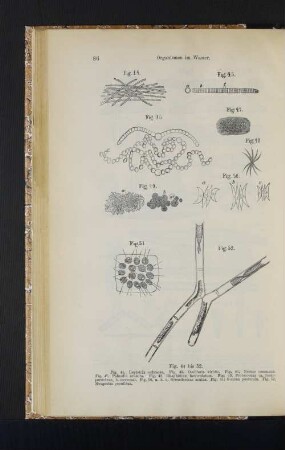 Fig. 44 bis 52.
