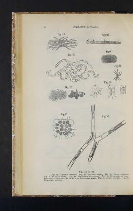 Fig. 44 bis 52.