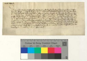 Schadlosbrief der Brüder Meyneke und Tideke van dem Borstelde für die Bürgermeister und Ratsmannen von Lüneburg (Hamburger Nachlass).