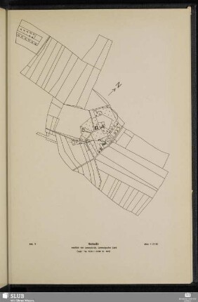 Abb. 9 Neckanitz
