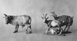 Stier